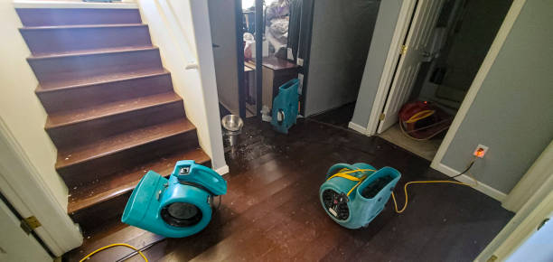 Best Flood damage cleanup  in Dwight, IL