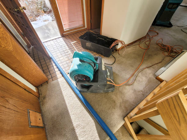 Best Flooded house restoration  in Dwight, IL