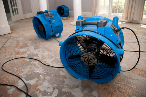 Best Ceiling water damage repair  in Dwight, IL