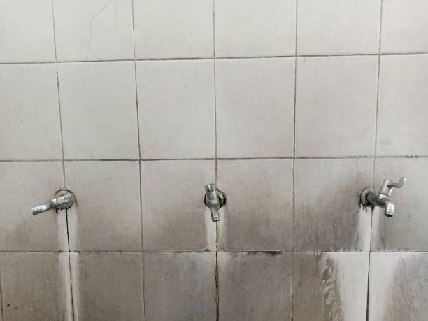 Best Emergency water damage restoration  in Dwight, IL