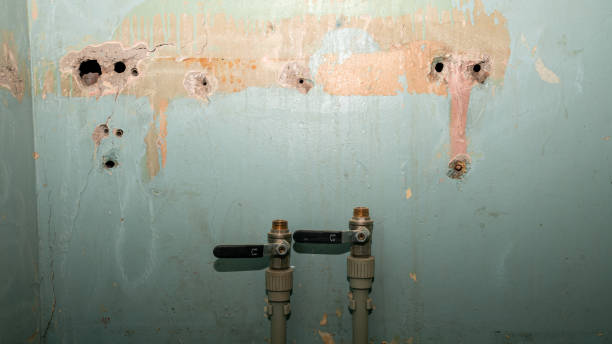 Best Flooded house restoration  in Dwight, IL