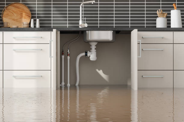  Dwight, IL Water damage restoration Pros