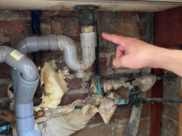 Best 24/7 water damage repair  in Dwight, IL