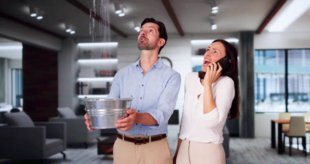 Best Flood restoration services  in Dwight, IL